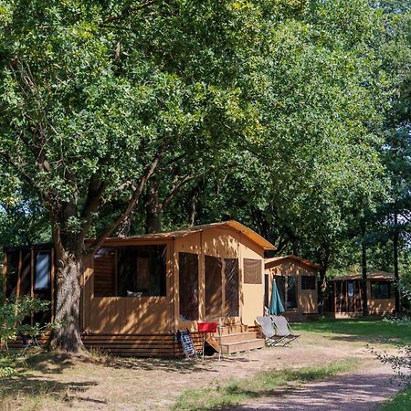 Huttopia De Roos Stegeren Εξωτερικό φωτογραφία