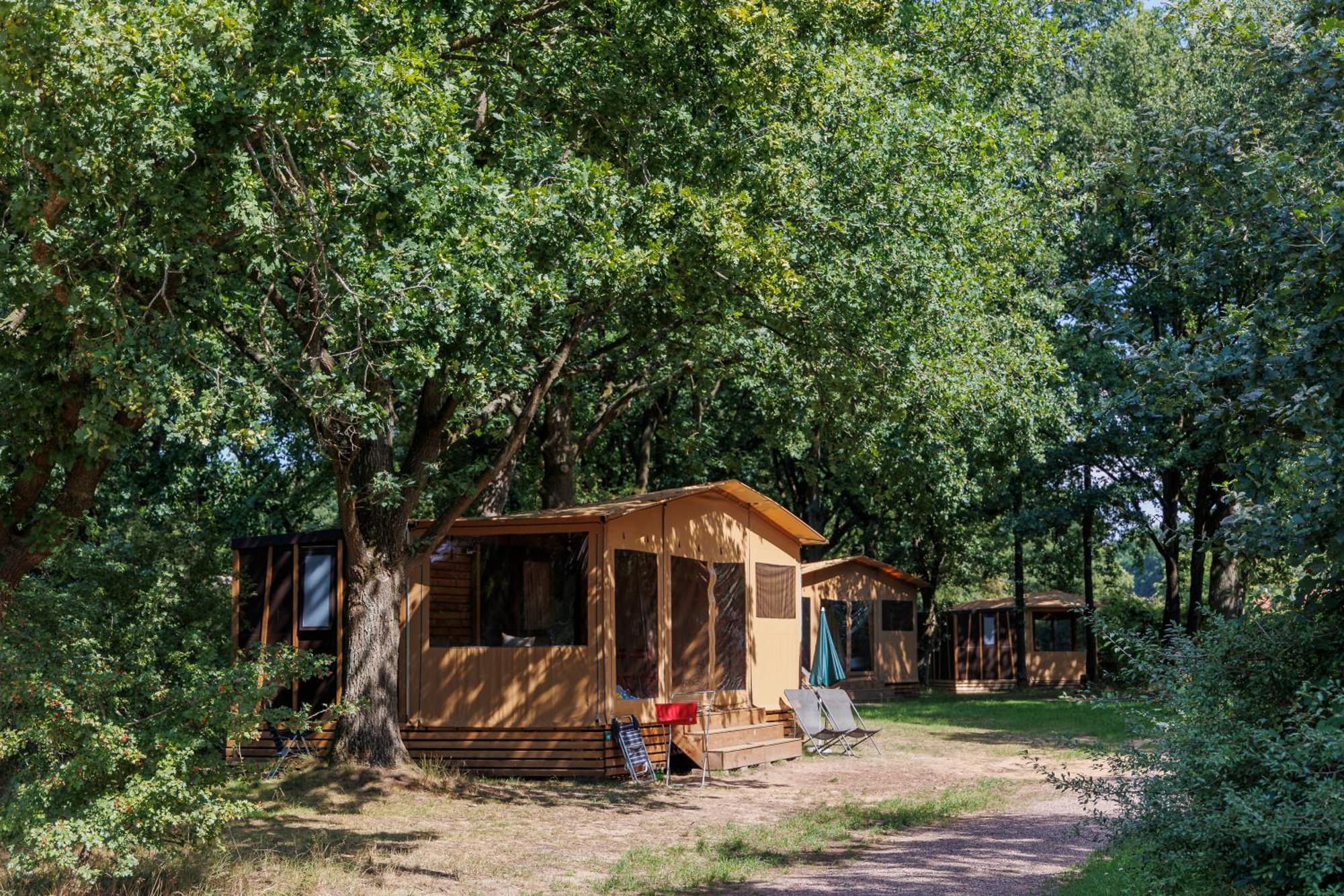 Huttopia De Roos Stegeren Εξωτερικό φωτογραφία
